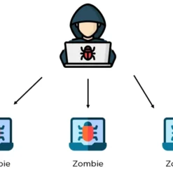 BOTNET LESSON 2023