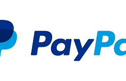 $1,000 PayPal Log - Balance Account