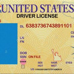 Driving License - USA (All States)