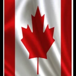 LIVE CANADA NON VBV – 100% FRESH W/ $1,000+ BALANCE | SOCKS5